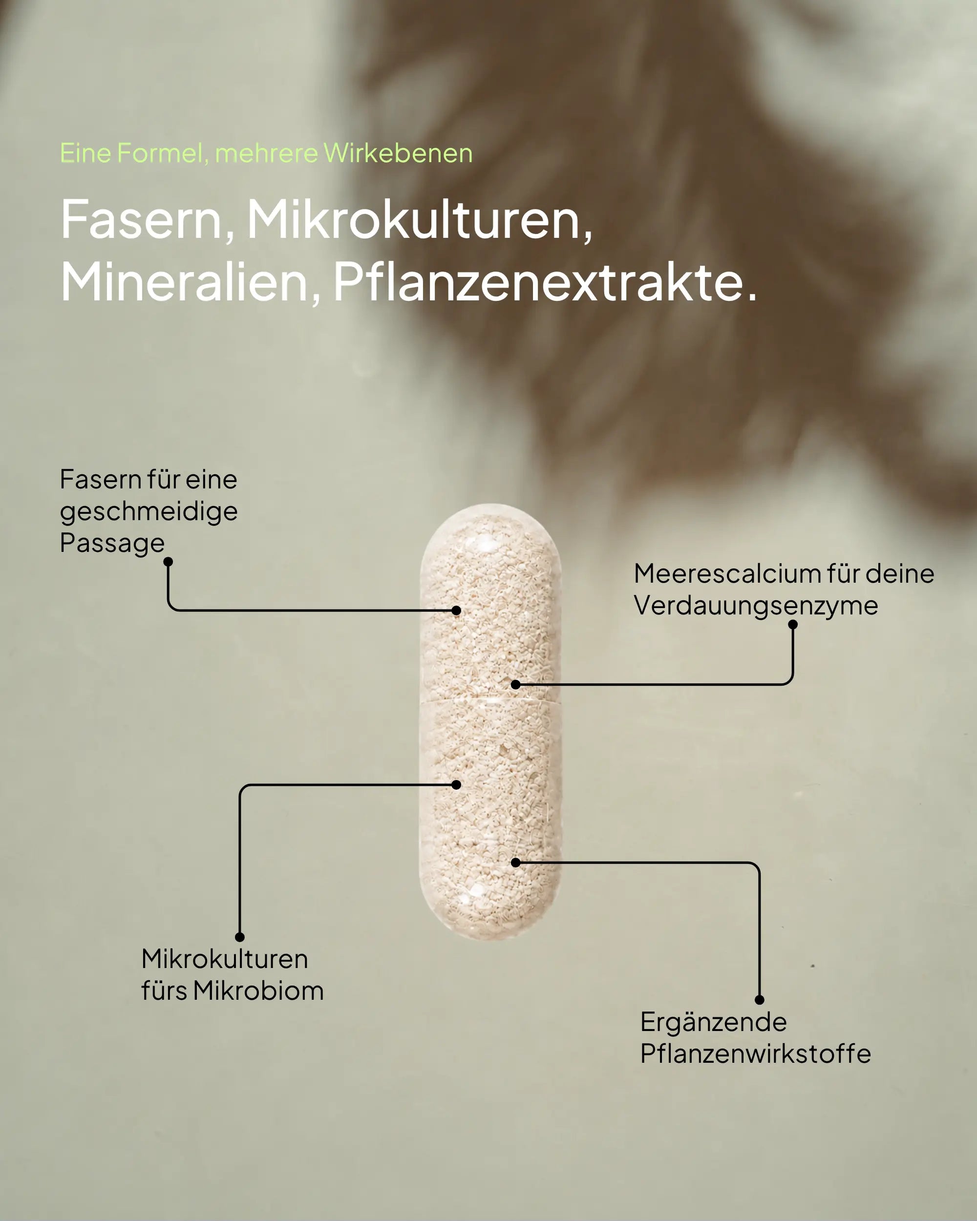 Detailgrafik einer „Gut Feeling“ Kapsel von Every Health mit dem Titel „Eine Formel, mehrere Wirkebenen“. Vier Textlinien erklären die Komponenten der Kapsel: Fasern für die Passage, Meerescalcium für Verdauungsenzyme, Mikrokulturen fürs Mikrobiom und ergänzende Pflanzenwirkstoffe.