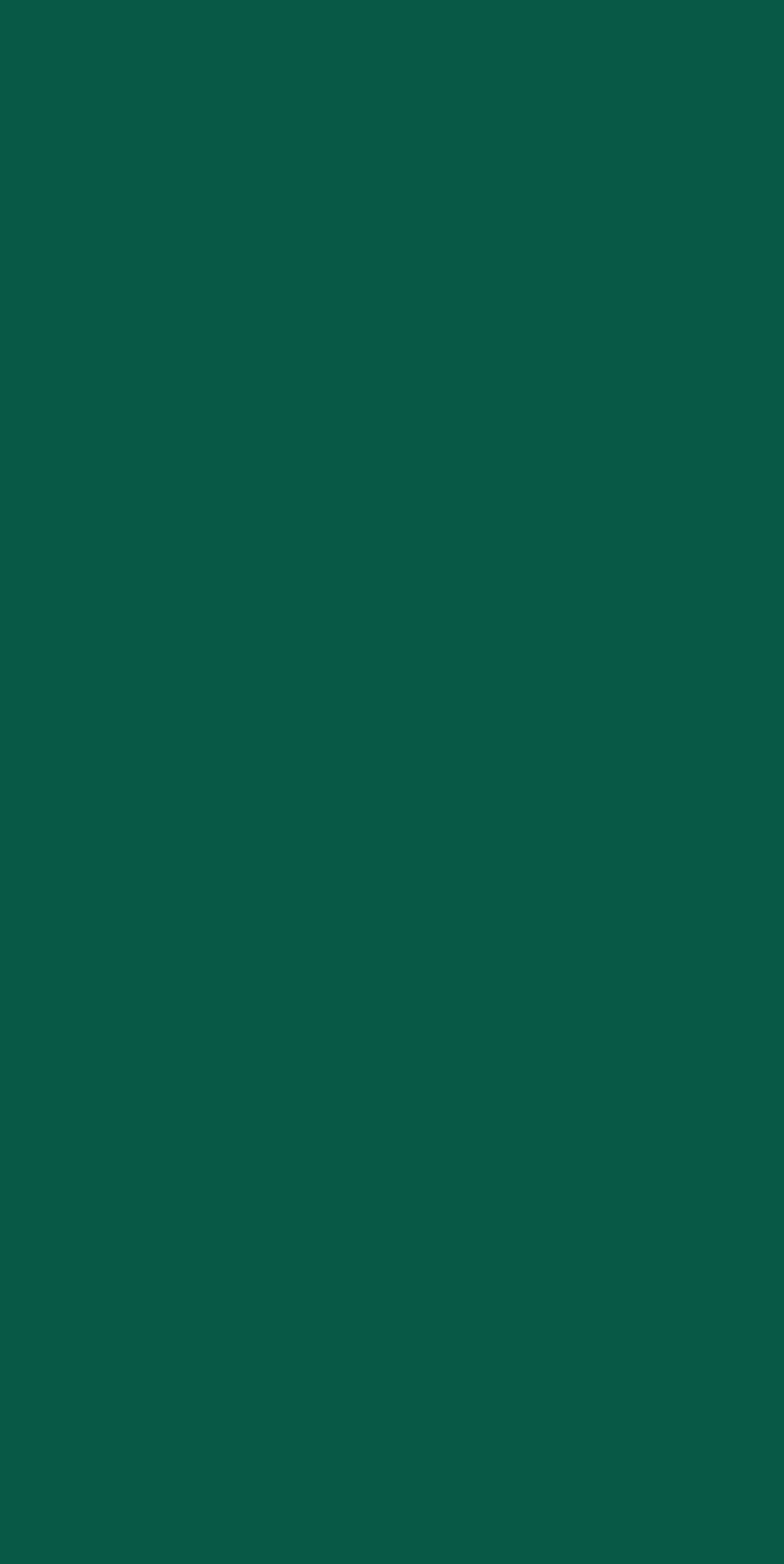 Dunkl Grüner Hintergrund in Every Health's Hunter Green 