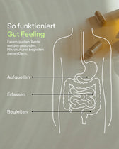 Infografik mit dem Titel „So funktioniert Gut Feeling“. Eine weiße Liniengrafik zeigt den menschlichen Verdauungstrakt. Drei Linien weisen auf bestimmte Bereiche hin: „Aufquellen“ (Magen/Darm-Übergang), „Erfassen“ (Dünndarm) und „Begleiten“ (Dickdarm). Der Begleittext lautet: „Fasern quellen, Reste werden gebunden, Mikrokulturen begleiten deinen Darm.“ Im Hintergrund liegen zwei Kapseln.