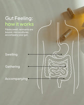 An infographic titled "Gut Feeling: how it works," explaining that fibers swell, remnants are bound, and microcultures accompany the gut. On the right, a line-art illustration shows the human digestive system, with two supplement capsules resting near the top right. Lines point from three labels on the left to different areas of the digestive tract: "Swelling" points to the stomach, "Gathering" points to the small intestine, and "Accompanying" points to the colon.