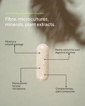 An infographic detailing the contents of a single supplement capsule, with the main headings reading: "One formula, several levels of action. Fibre, microcultures, minerals, plant extracts." Lines point from a large, translucent capsule filled with powdered ingredients to four descriptions: "Fibre for a smooth passage," "Marine calcium for your digestive enzymes," "Microcultures for your microbiome," and "Complementary plant compounds."