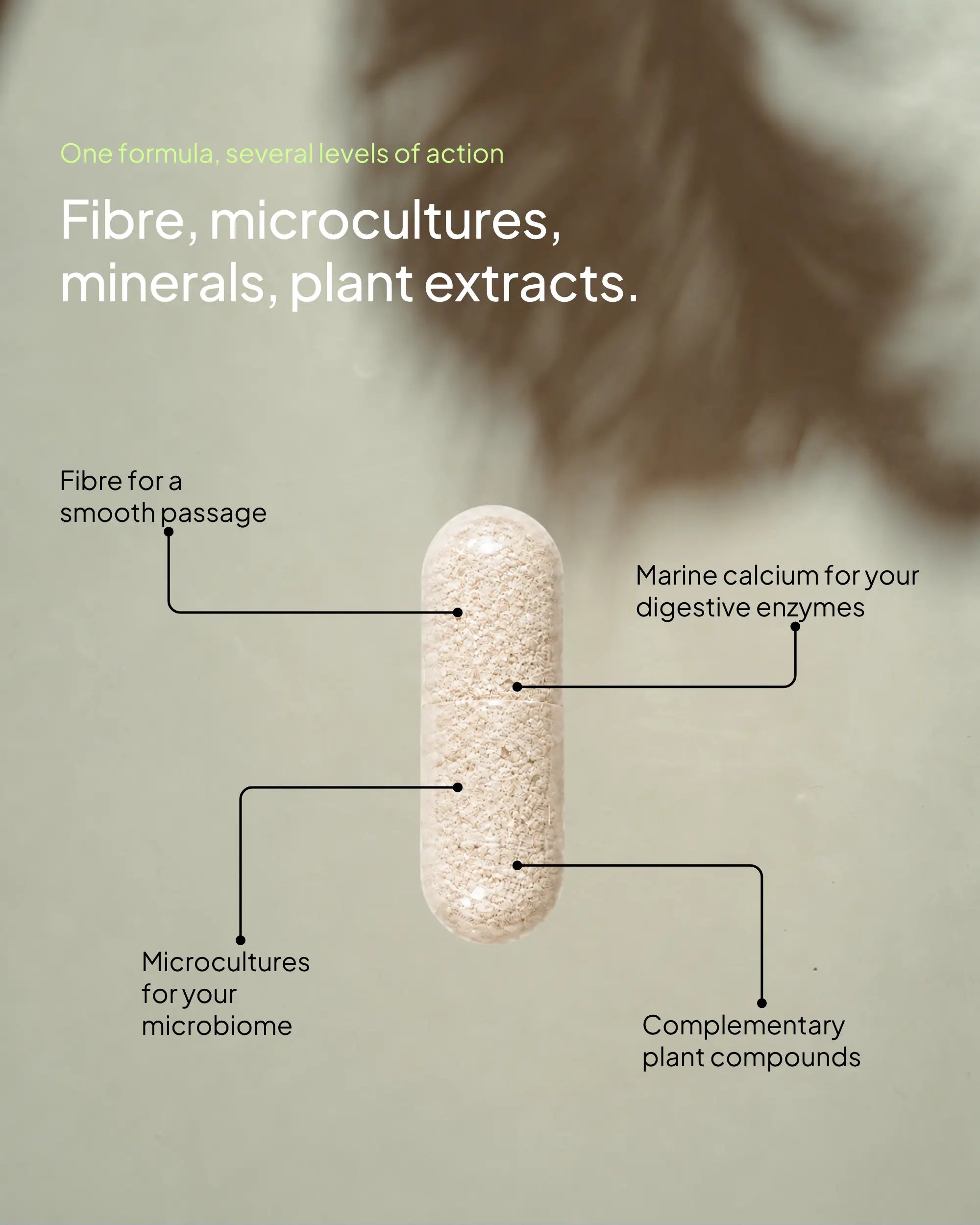 An infographic detailing the contents of a single supplement capsule, with the main headings reading: "One formula, several levels of action. Fibre, microcultures, minerals, plant extracts." Lines point from a large, translucent capsule filled with powdered ingredients to four descriptions: "Fibre for a smooth passage," "Marine calcium for your digestive enzymes," "Microcultures for your microbiome," and "Complementary plant compounds."