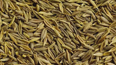 Video-Nahaufnahme von einer Vielzahl getrockneter, länglicher Fenchelsamen in ihren typischen Grün- und Brauntönen. Das Video zeigt die Zutat vor der Verarbeitung zu feinem Samenpulver für das Produkt „Gut Feeling“ von Every Health.