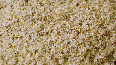 Makro-Videoaufnahme von Flohsamenschalen. Die Kamera zeigt eine Detailansicht der feinen, weiß-beigen Flocken, die als Ballaststoff-Zutat im Produkt „Gut Feeling“ von Every Health verwendet werden.